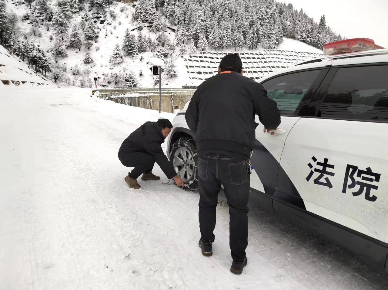 雪莲绽放波斯河:双语守护绿水青山