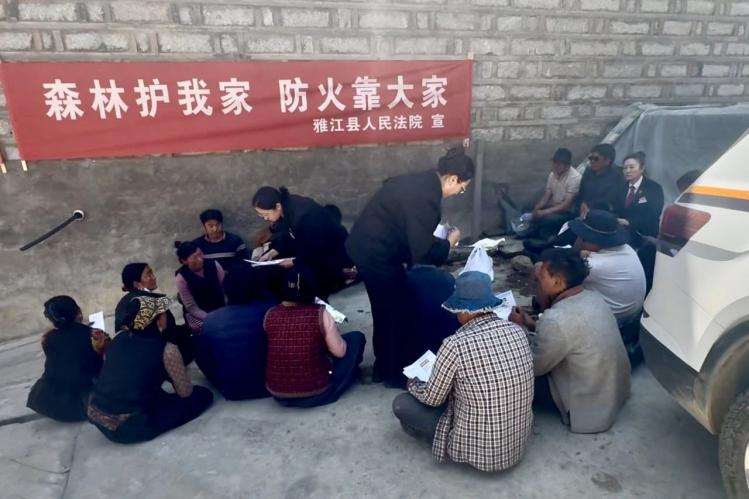 雪莲绽放波斯河:双语守护绿水青山